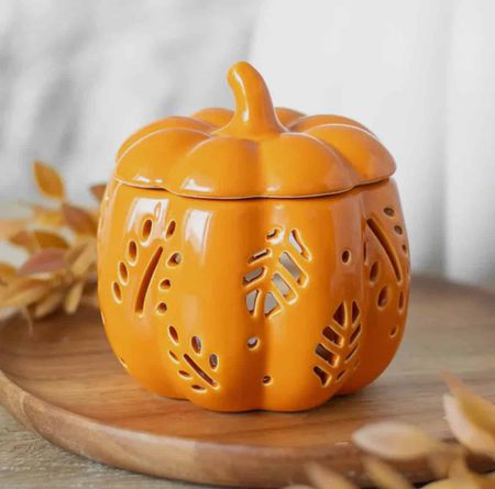 Oljebrännare pumpa