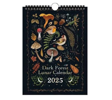 Månkalender 2025