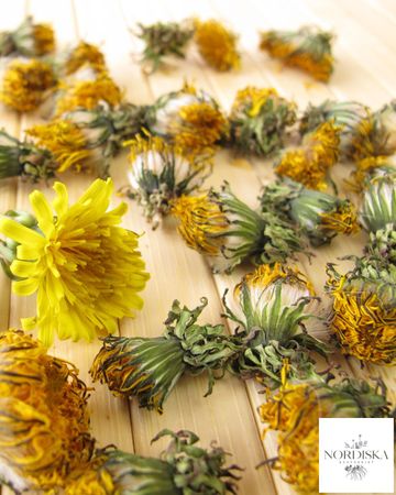 Torkade maskrosblommor