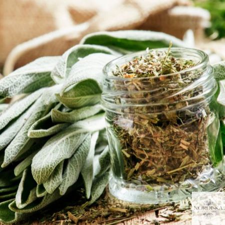 Torkad vit salvia