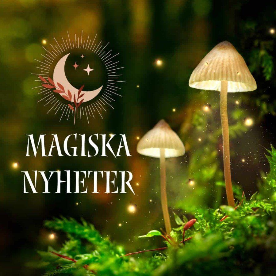 Nordiccrystal.se