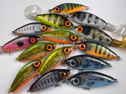 Fathead Jr sale