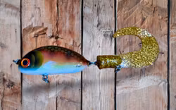 Togiak tail