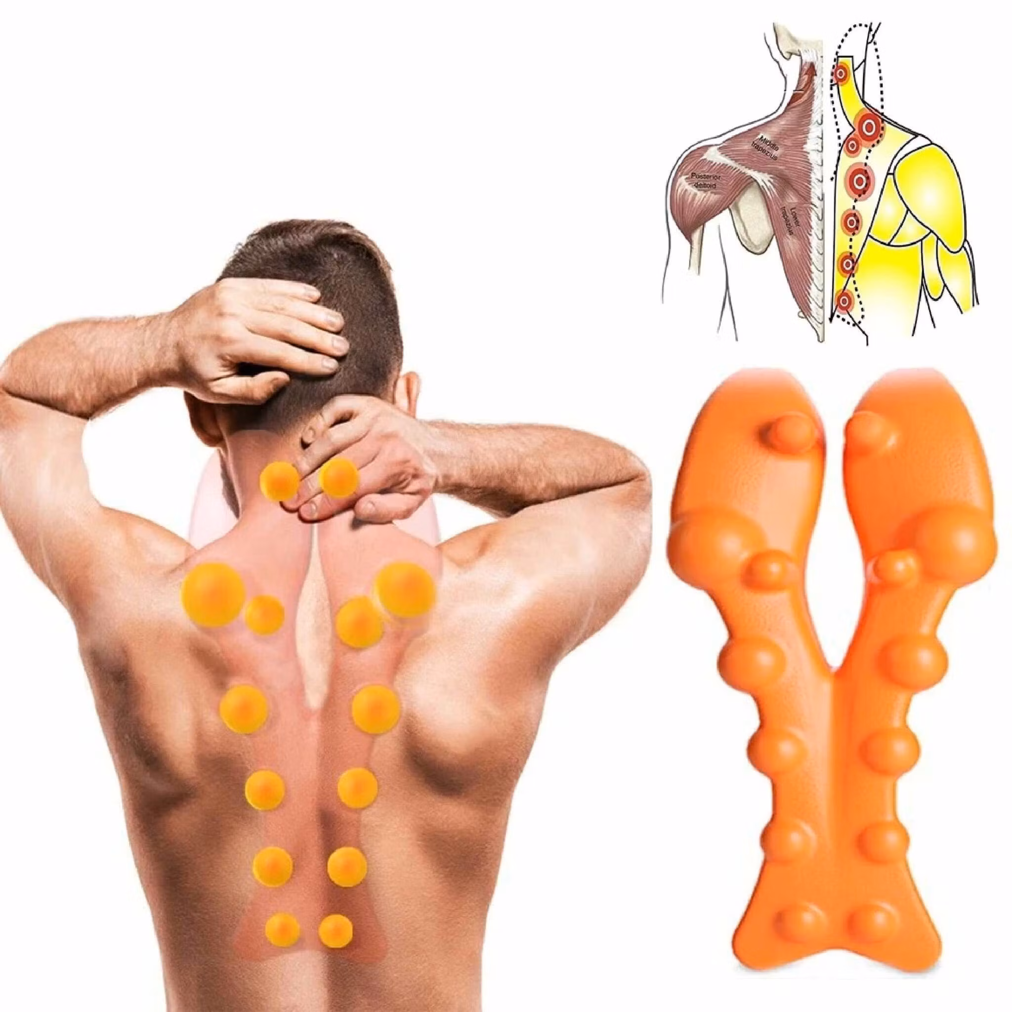 Sträckare för trapezius - Lindrar smärta i nacken