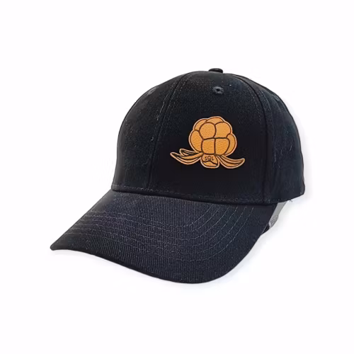 Cap cloudberry