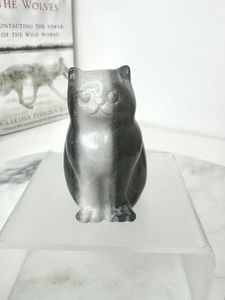 Katt i tai chi stone A