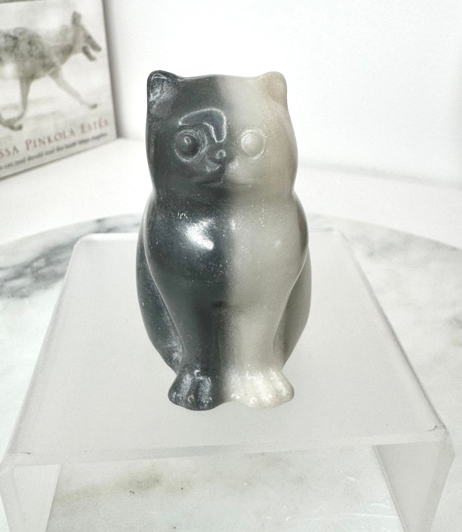 Katt i tai chi stone B