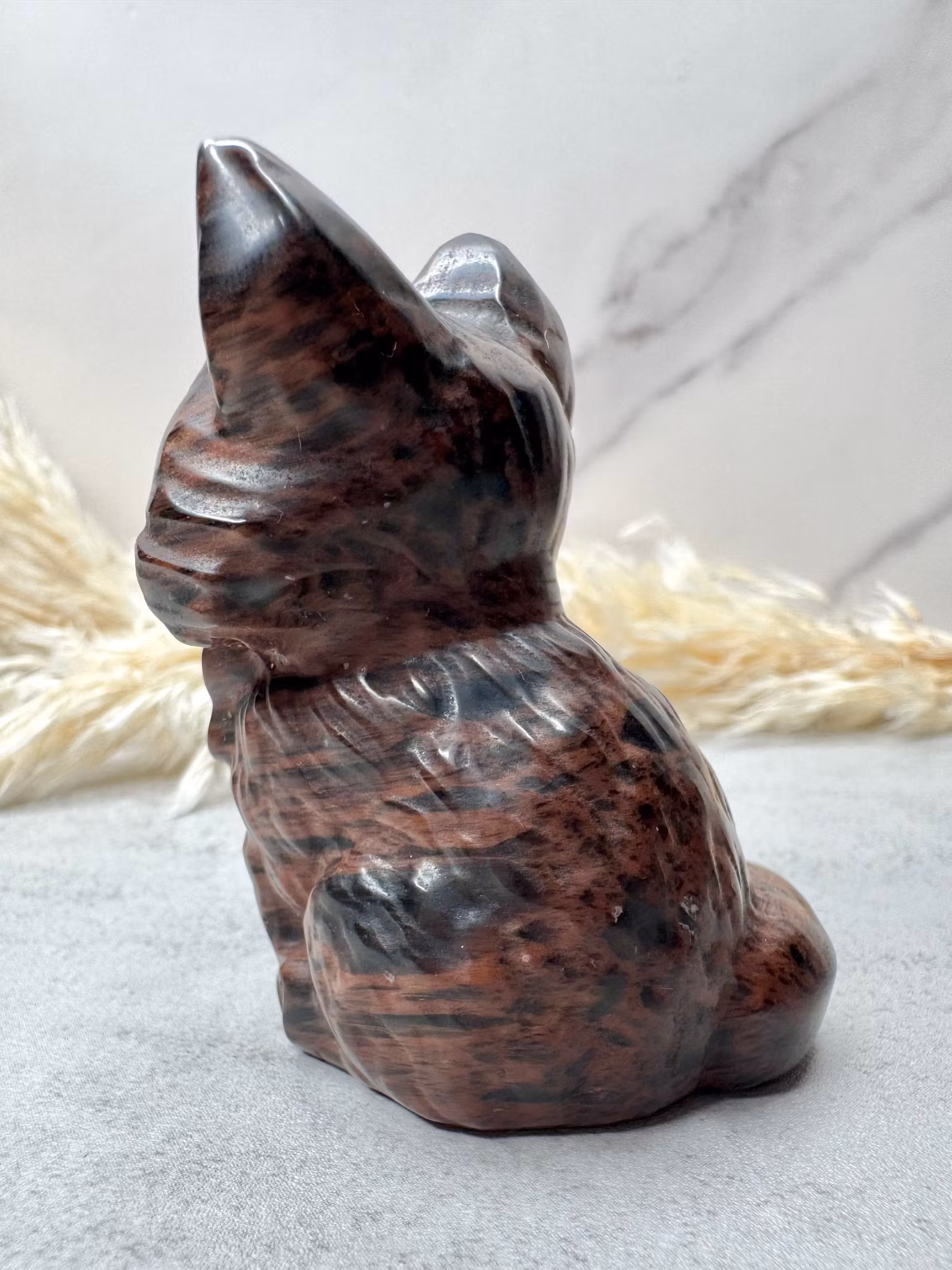 Katt i mahogny obisidan