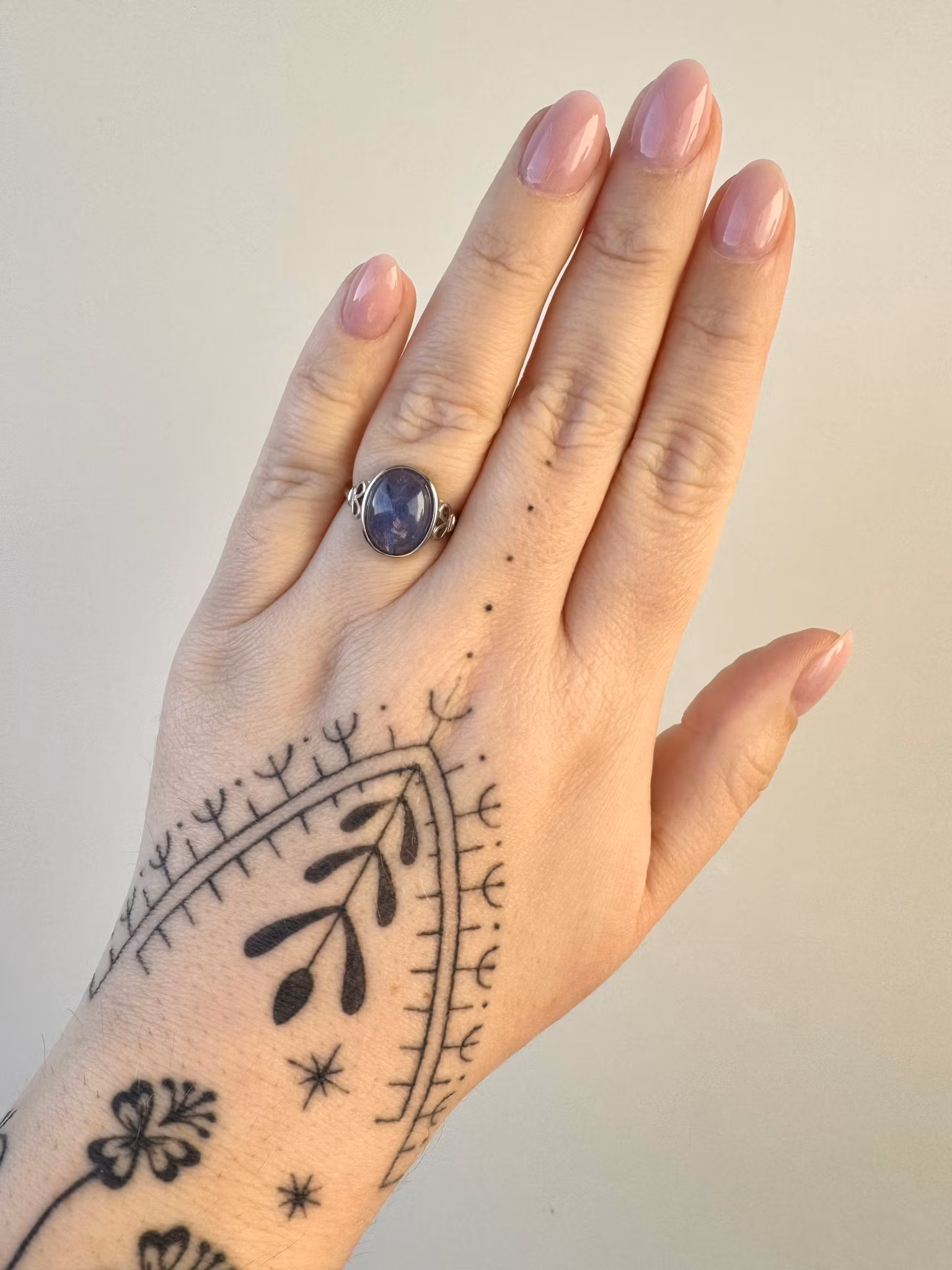 Silverring med tanzanit