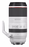 Canon RF 100-500 mm F4.5-7.1 L IS USM Teleobjektiv