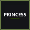 Princess Digital Aerofryer Deluxe XXL 182060, varmluftsfritös