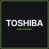 Toshiba S300 AI HDEB03AZSA51F 18 TB 3,5" SATA Övervakningshårddisk 7 200 rpm