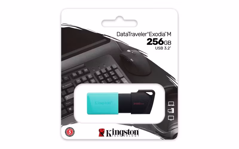 Kingston DataTraveler Exodia M 256 GB USB 3.2 Gen 1 USB-minne Svart/Grön