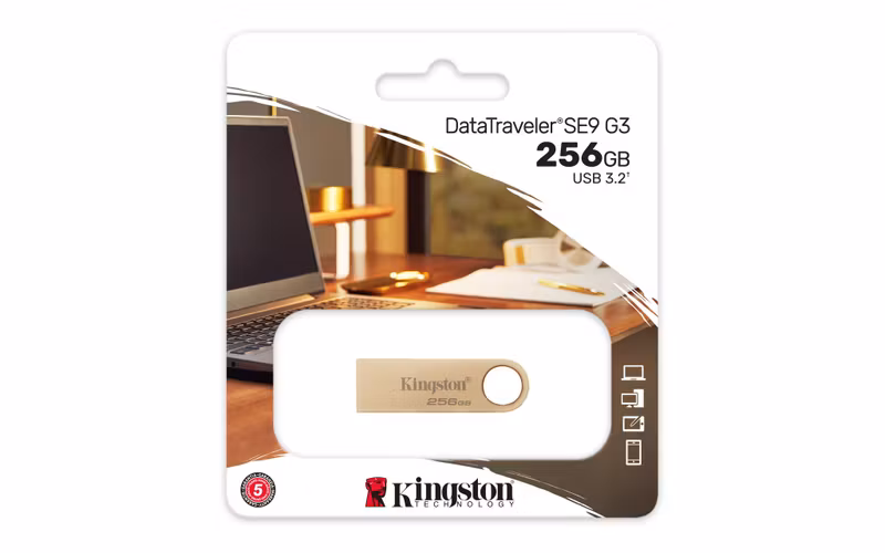 Kingston DataTraveler SE9 G3 256 GB USB 3.2 Gen 1 USB-minne Guld