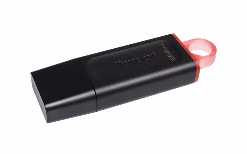 Kingston DataTraveler Exodia 256 GB USB 3.2 Gen 1 USB-minne Svart/Rosa
