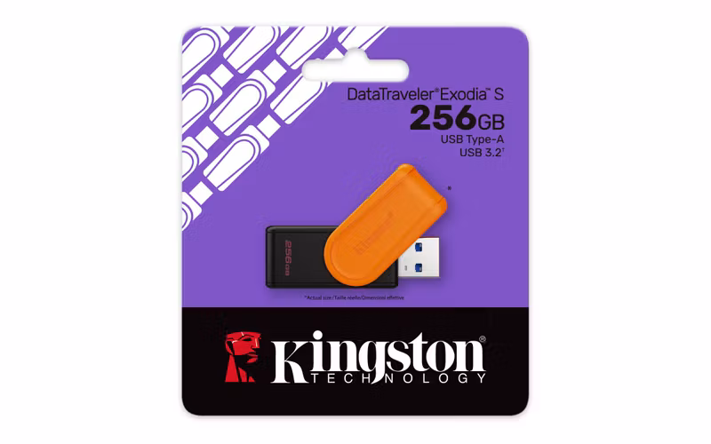 Kingston DataTraveler Exodia S 256 GB USB 3.2 Gen 1 USB-minne Svart/Orange