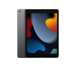 Apple 10.2-inch iPad Wi-Fi 10.2" 256GB Grå