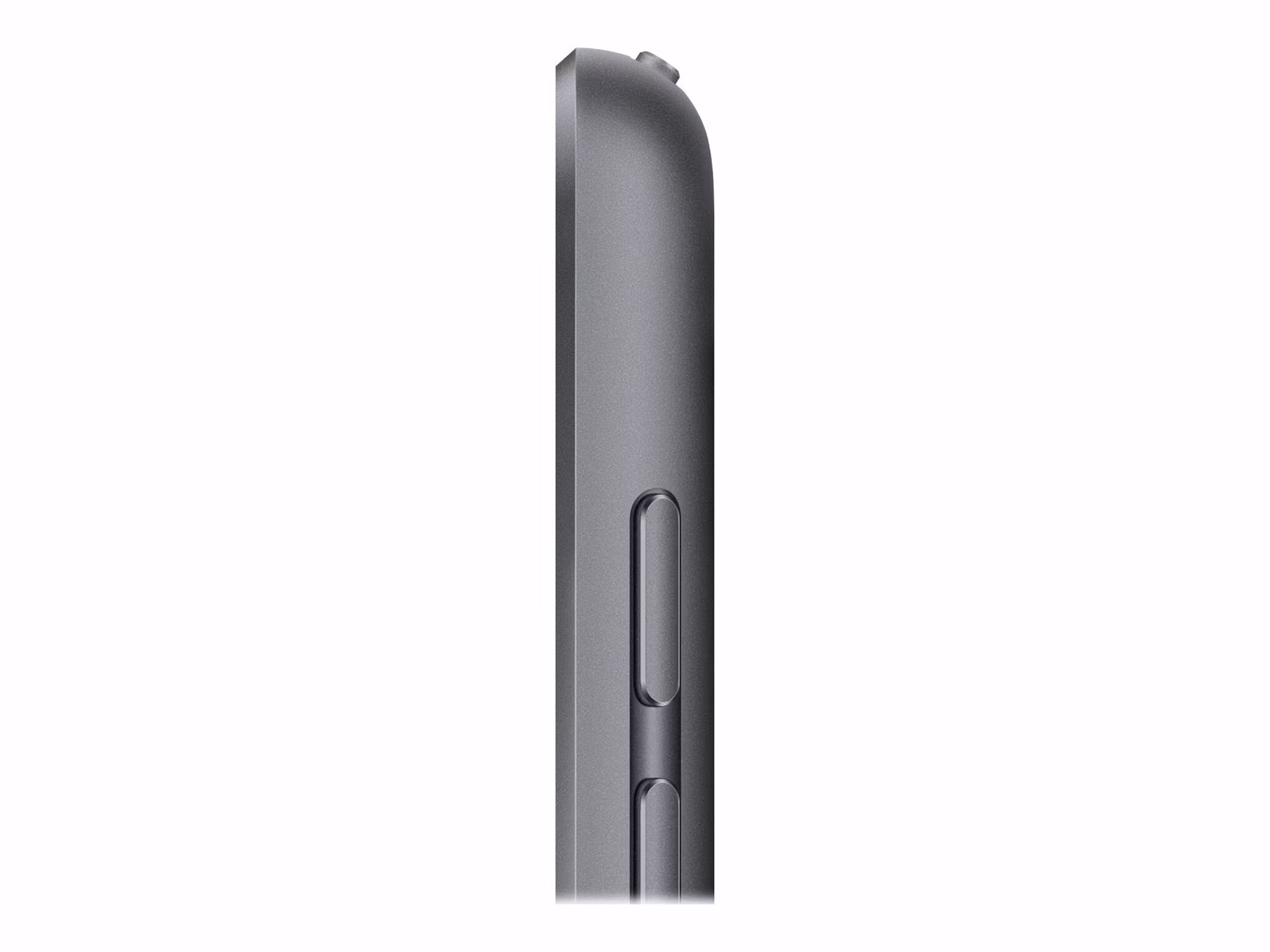 Apple 10.2-inch iPad Wi-Fi 10.2" 256GB Grå