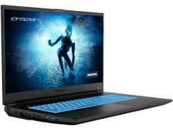 ERAZER Defender P15 17.3" 5800H 16GB 1TB RTX 3060 Windows 11 Home