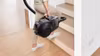 Bosch Serie 4 BGC21X300 cylinderdamssugare 2 liter svart