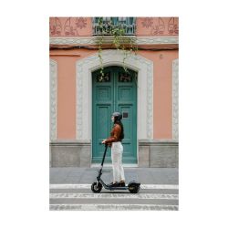 Ninebot by Segway F2E Elscooter