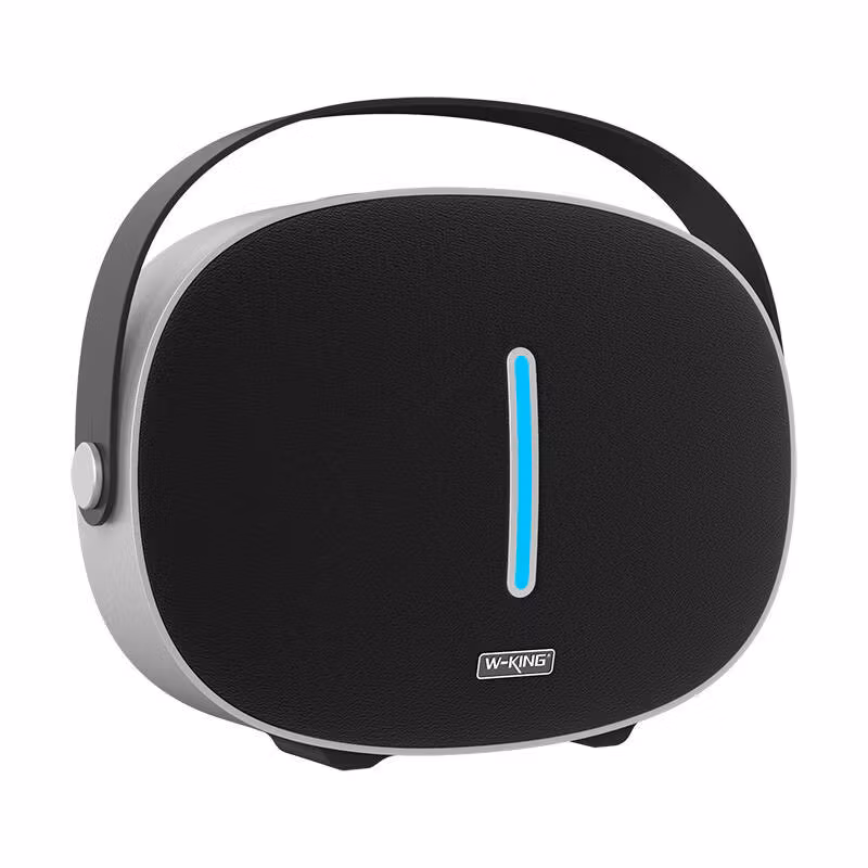 W-King T8 Wireless Speaker Svart