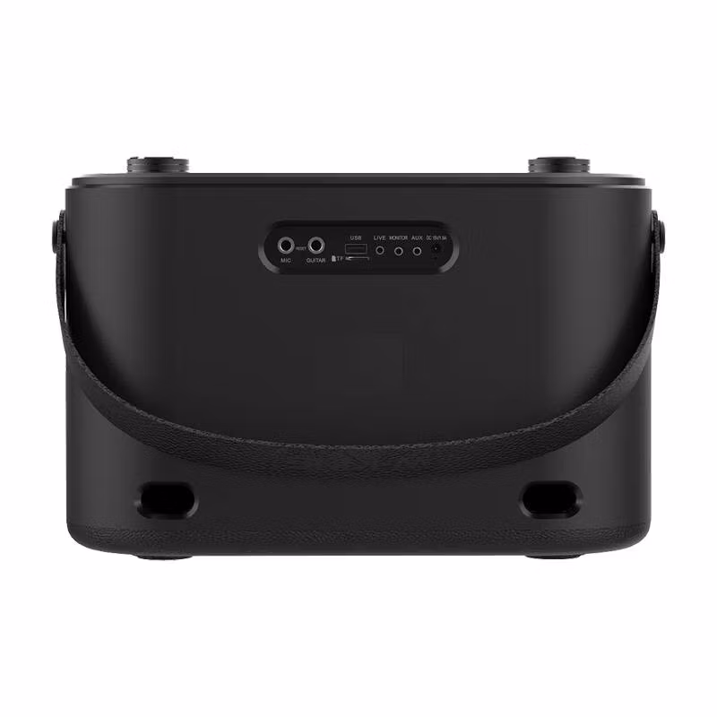 W-KING H10 120W Bluetooth-trådlös högtalare + 2 mikrofoner Svart
