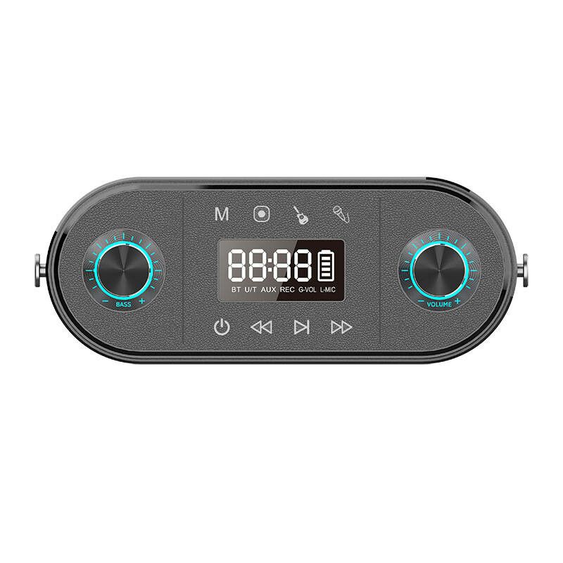 W-KING H10 S 80W Bluetooth trådlös högtalare + mikrofon Svart