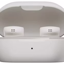 Bose QuietComfort Earbuds vit