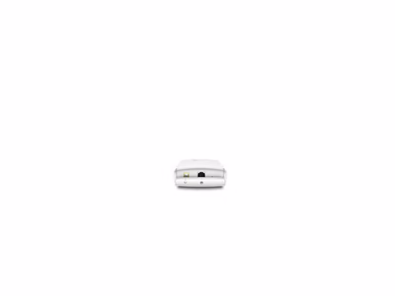 TP-Link Omada EAP110 Utomhus Trådlös åtkomstpunkt