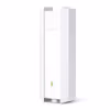 TP-Link Omada EAP650-Outdoor Trådlös åtkomstpunkt