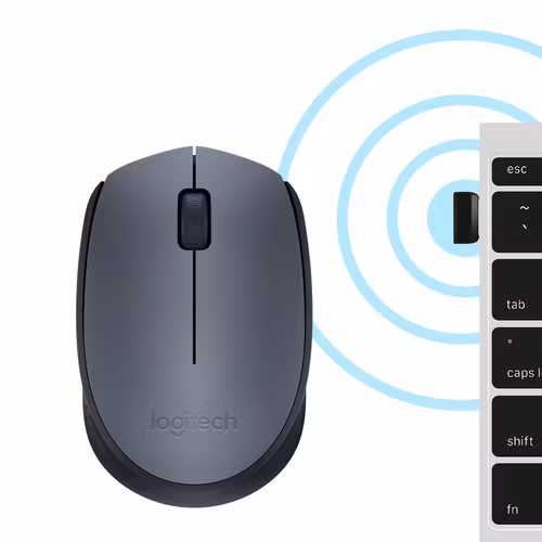 Logitech Wireless Mouse M170 Svart