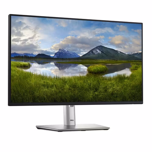 Dell P2425H 24" Full HD computer monitor