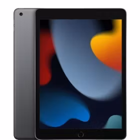 APPLE iPad 10.2 WiFi 9th Gen 256GB grey - MK2N3FD / A