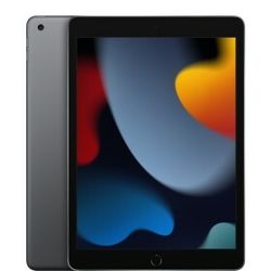 APPLE iPad 10.2 WiFi 9th Gen 256GB grey - MK2N3FD / A