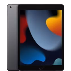 APPLE iPad 10.2 WiFi 9th Gen 256GB grey - MK2N3FD / A