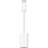 Apple USB-C till Lightning adapter