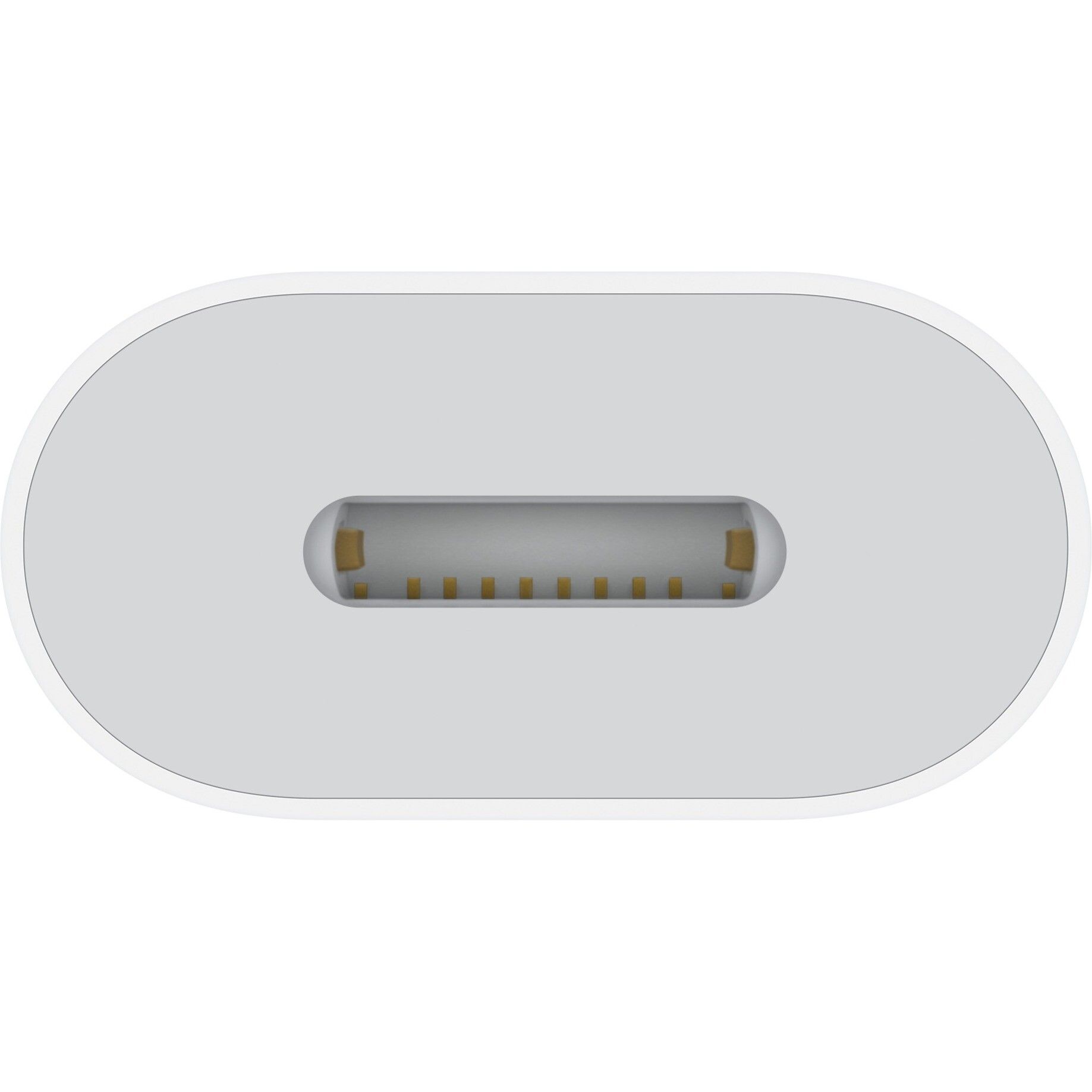 Apple USB-C till Lightning adapter