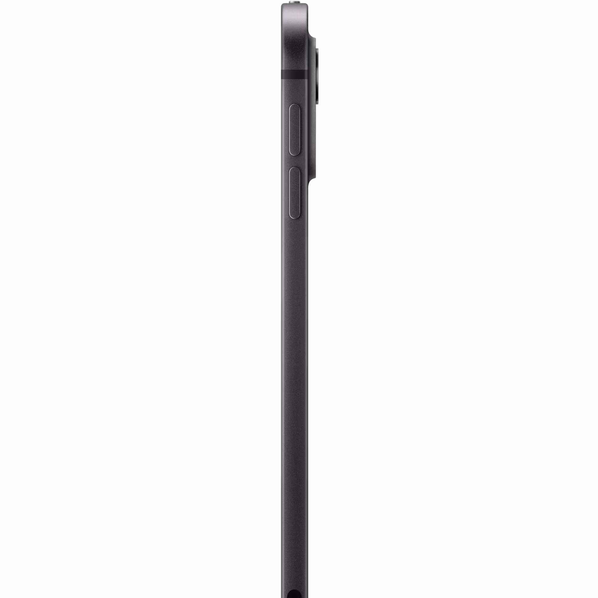 Apple iPad Pro 11" (256 GB), tablet PC (black, Gen 5 / 2024)