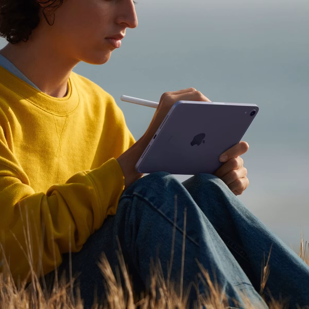 Apple iPad mini Wi-Fi Cellular 8.3" 64GB Rymdgrå