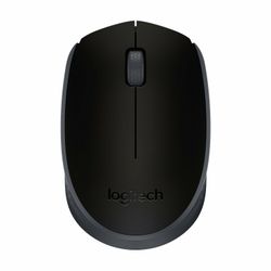 Logitech M171 trådlös mus Svart