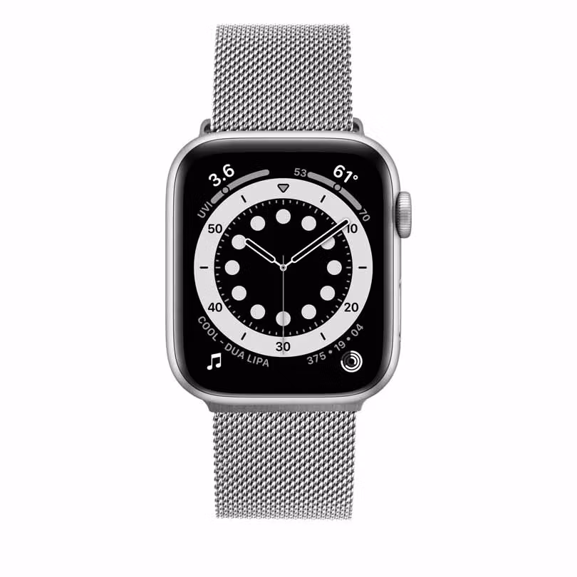 FIXED Mesh metallrem för Apple Watch 42/44/45/49mm Silv.