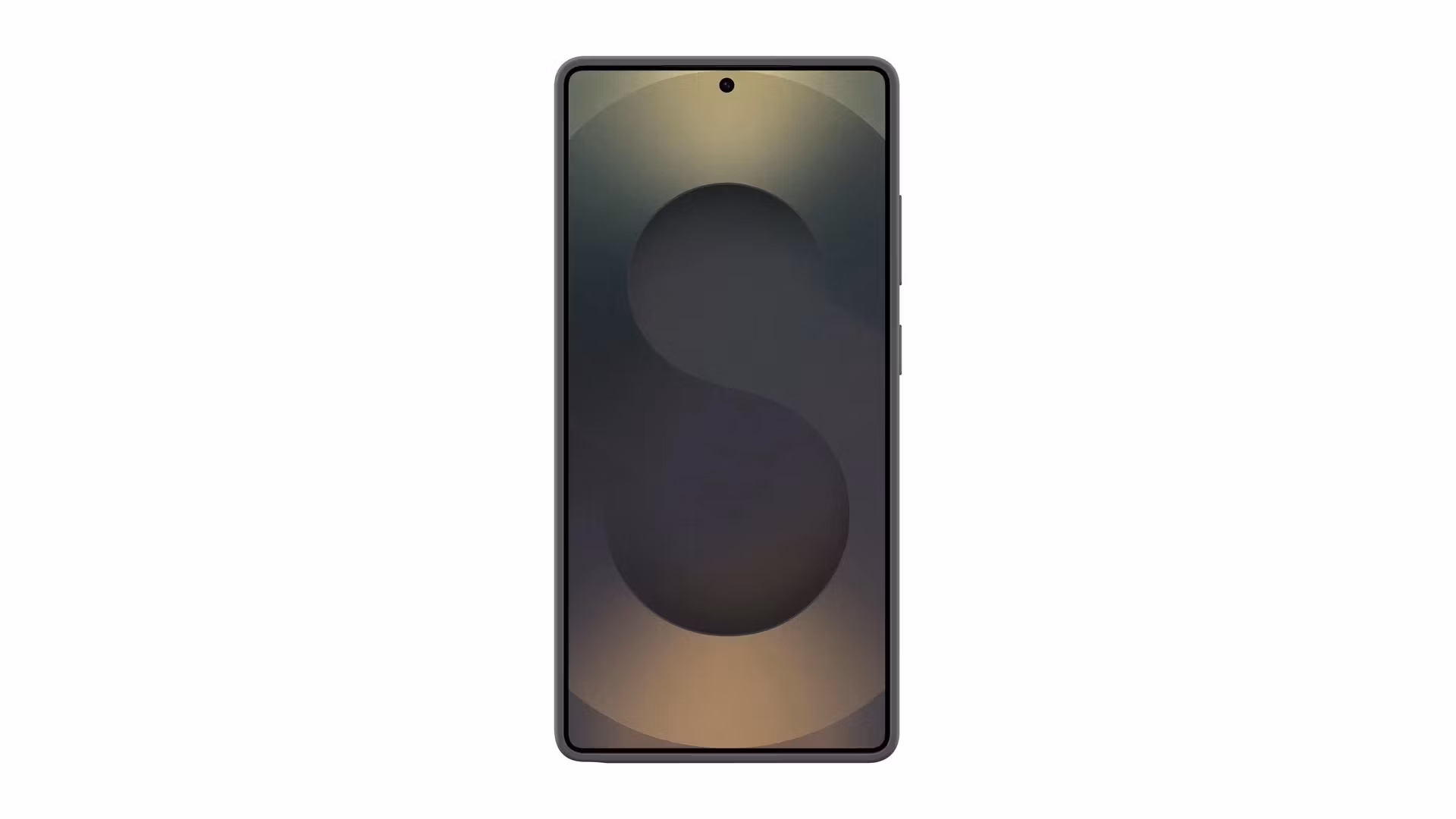 Samsung Galaxy S25 Ultra silikonfodral Svart