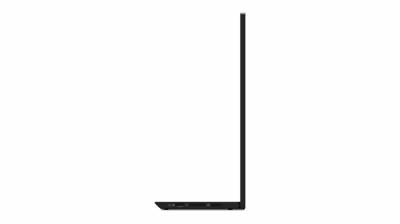 Lenovo ThinkVision M15 bärbar 15,6" Full HD-skärm USB-C