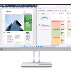 Lenovo L25e-40 24.5" 1920 x 1080 pixels Full HD Monitor Grey