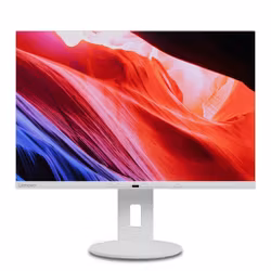 Lenovo C24d-20 LED display 24" 1920 x 1200 pixels Full HD Grey Monitor