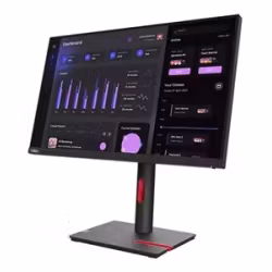 Lenovo ThinkVision T24i-30 23.8" IPS 1920 x 1080 (Full HD) Monitor