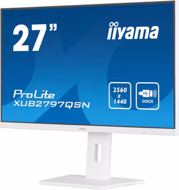 iiyama ProLite XUB2797QSN-W2 27" IPS Monitor
