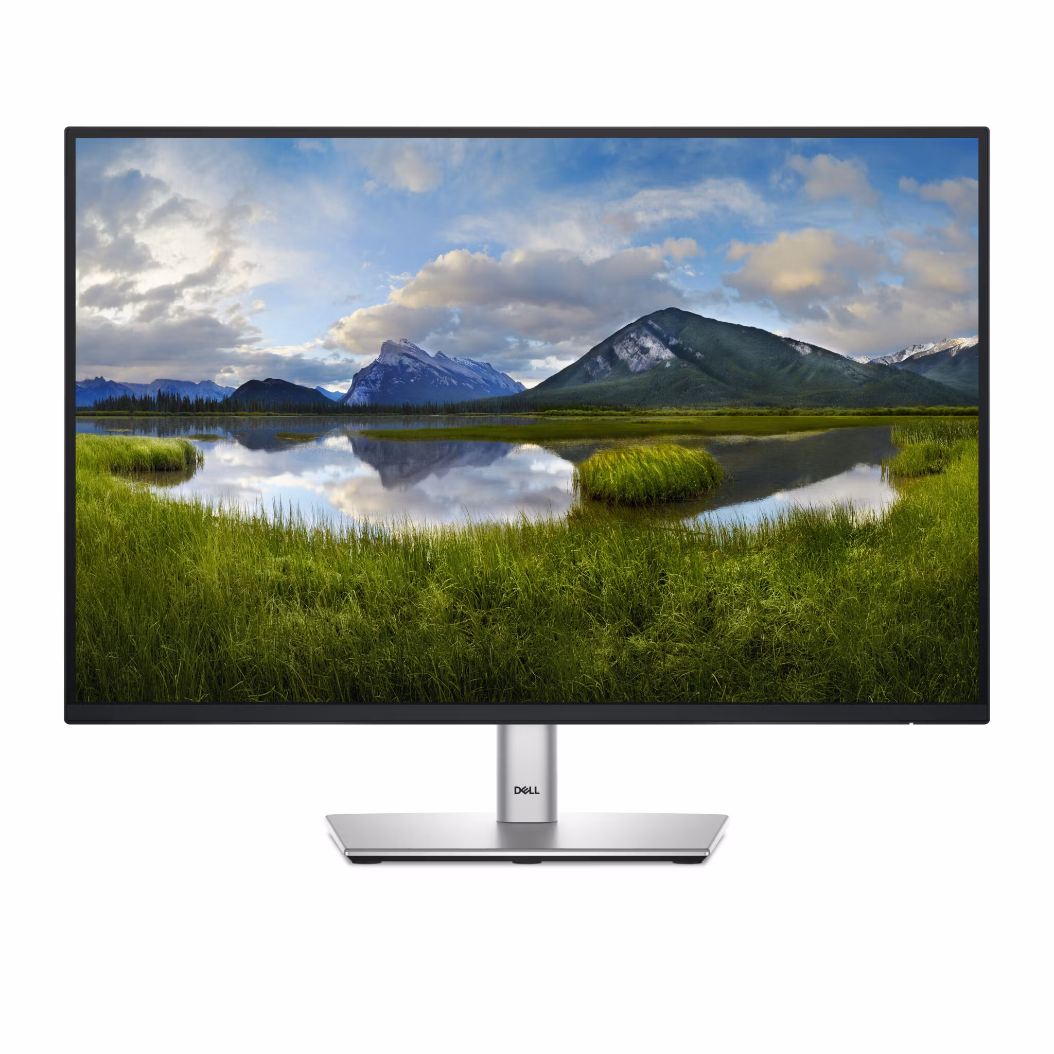 Dell P2425 24" IPS 1920 x 1200 (WUXGA) VGA LCD Black