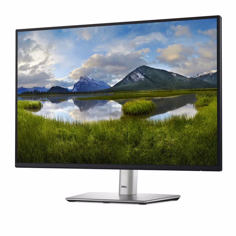 Dell P2425 24" IPS 1920 x 1200 (WUXGA) VGA LCD Black